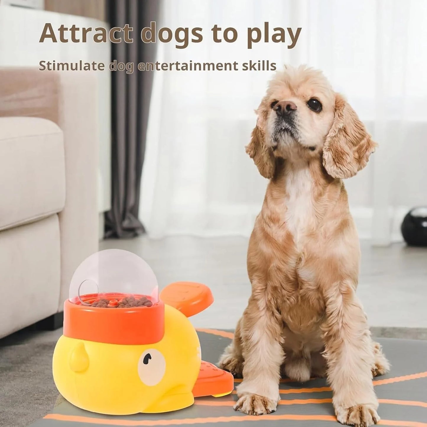 Pet Snack Feeder